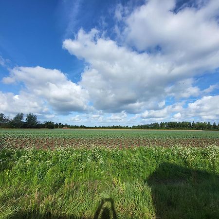 Huisje Mina Vrouwenpolder Exteriér fotografie