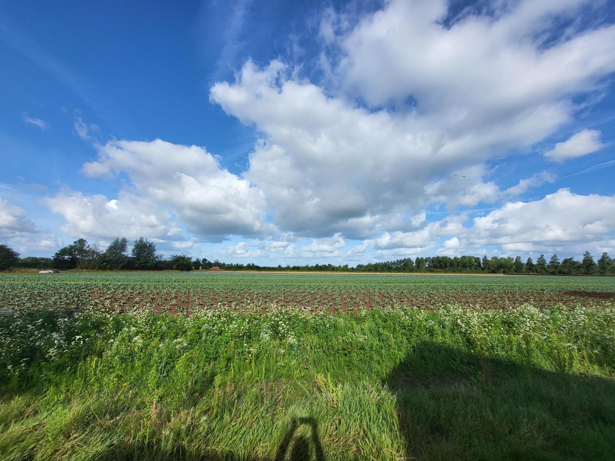 Huisje Mina Vrouwenpolder Exteriér fotografie